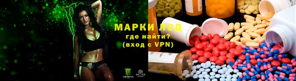 дурь Алзамай
