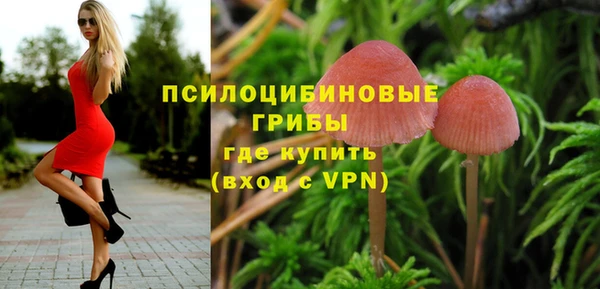 дурь Алзамай