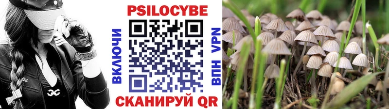Псилоцибиновые грибы GOLDEN TEACHER  Кимры 
